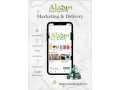 aladin-delivery-ist-ein-b2c-werbe-und-onlinemarktplatz-angebot-small-3
