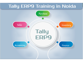 Tally Prime Certification in Noida, Sector 1, 2, 3, 15, 16 18, 63, 62, Free SAP, GST, Excel Institute, SLA Accounting Classes,