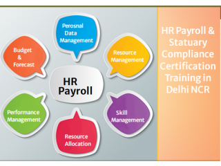 HR Payroll Certification in Laxmi Nagar, Delhi, Job Guarantee Course, "SLA Consultants India" Best Offer 100% Job