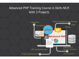 PHP Institute in Delhi with 100% Job at SLA Institute, Live Project, Git, Wordpress & Laravel Certification, Summer Offer '23