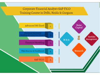 Join Financial Modeling Institute in Delhi, 100% Financial Analyst Job, Salary Upto 6 LPA, SLA Institute, with 100% Job Placement