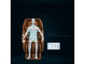 small-fully-automatic-lazy-massage-chair-home-multifunctional-whole-body-cervical-vertebra-gift-sofa-massage-chair-small-4